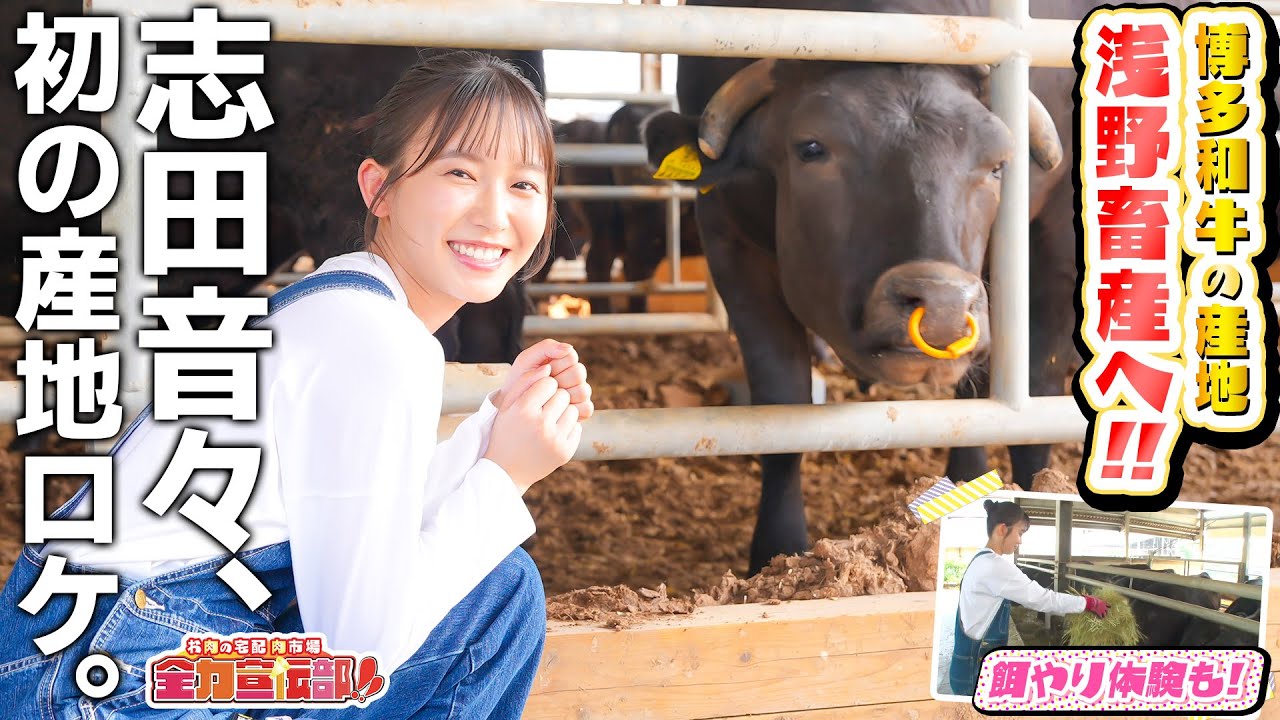 志田音々初の産地ロケ！博多和牛を求め「浅野畜産」へ！