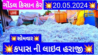આજના કપાસ ના ભાવ | કપાસ ના બજાર ભાવ | cotton crop price | aaj na kapas na bhav Gondal 11 20/05/2024