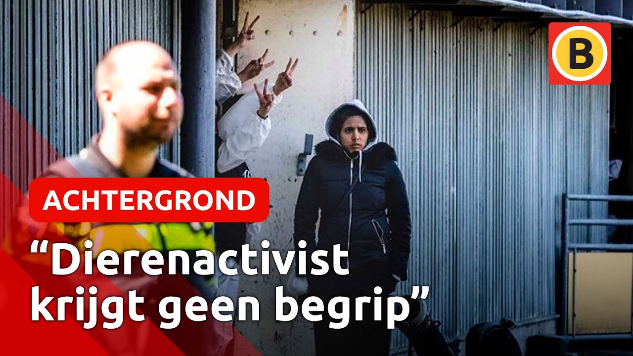 Zwaardere straffen en maatregelen tegen activisten | Omroep Brabant