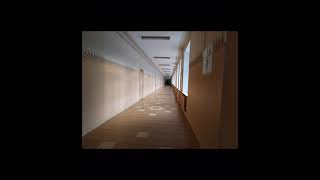 Liminal Spaces 178 With Hiroshi Yoshimura's Rain Forest