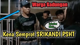 Mengaku WARGA PSHT Akhirnya Mbak Srikandi Bertindak Tegas