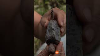 What Carp Academy can do for you.