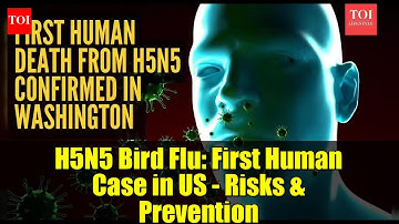 H5N5 Bird Flu: First Human Case in US - Risks & Prevention