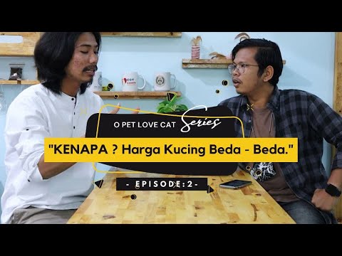 KENAPA HARGA KUCING BERBEDA-BEDA - O PET LOVE CAT The Series Eps. 2