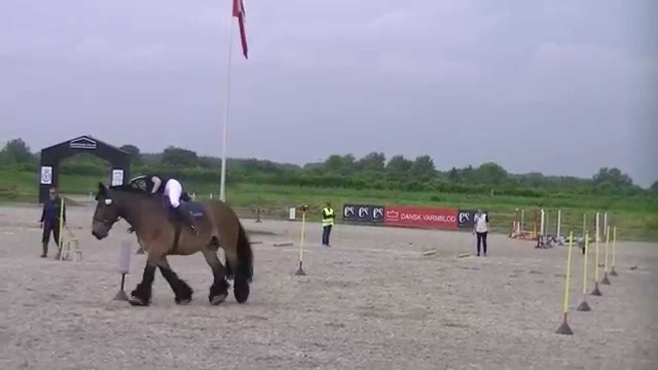 Landsfinaler 2015 - Ponygames afd. C - Boldstafet