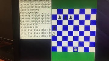 CS300 Chess Project