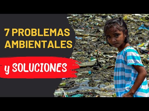 Video: Recursos ambientales. Problemas ambientales y formas de resolverlos
