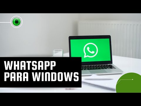 WhatsApp: versão para Windows não precisa de conexão com celular