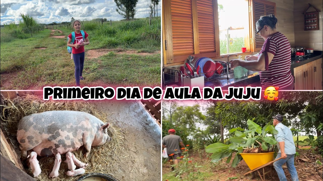 NOSSA PORCA PARIU🙏🏼🙏🏼 PRIMEIRO DIA DE AULA DA JUJU| GANHAMOS VARIAS MUDAS DO NOSSO VIZINHO🌱!!