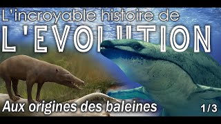 Aux origines des baleines  - 1/3 -   Paléontologie - Simplex Paléo