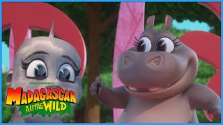 Martys Pride Parade A Little Wild Dreamworks Madagascar