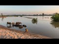 Waterfall Brown Noise | River | Relax Music Vol. 0152 | 4K