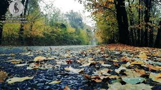 Aylardan Eylül Resimi