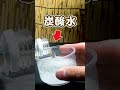 熱帯魚水槽に発生する小っちゃい貝を炭酸水に入れると一瞬で駆除ができる!? #Shorts