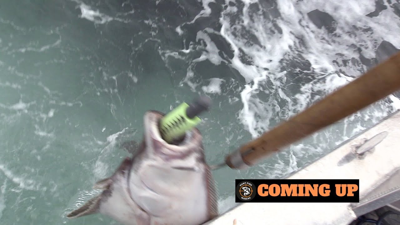 HALIBUT FISHING with Queen Charlotte Safaris - Part 1