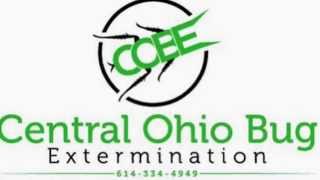 Central Ohio Bug Extermination 614-334-4949