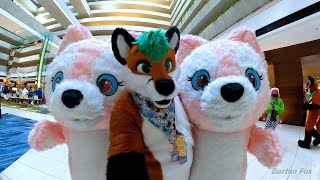 Midwest FurFest 2022 - Random Clips