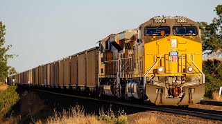 UP Coal Trains on Nebraska's South Morrill Sub! FRESH Rebuilds, MEGA trains, CLASSIC Power & More!