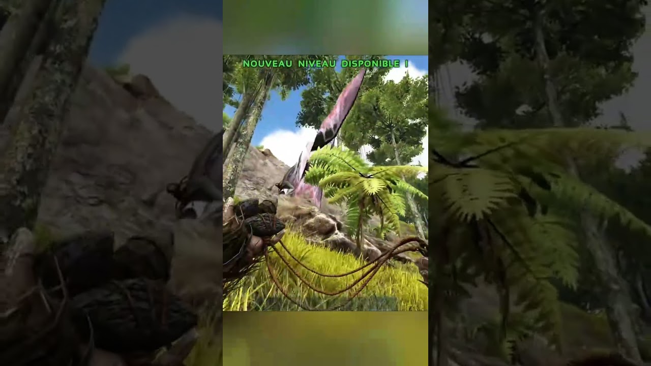 comment tamer un tapejara 