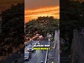 Jalan Ini “Ngalah” Sama Pohon?! 😱