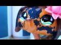 Littlest Pet Shop: Popular (Episode #5: Calories and Competition)