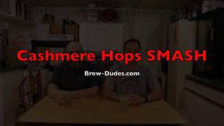 What Do Cashmere Hops Taste Like? Smash Beer Experiment