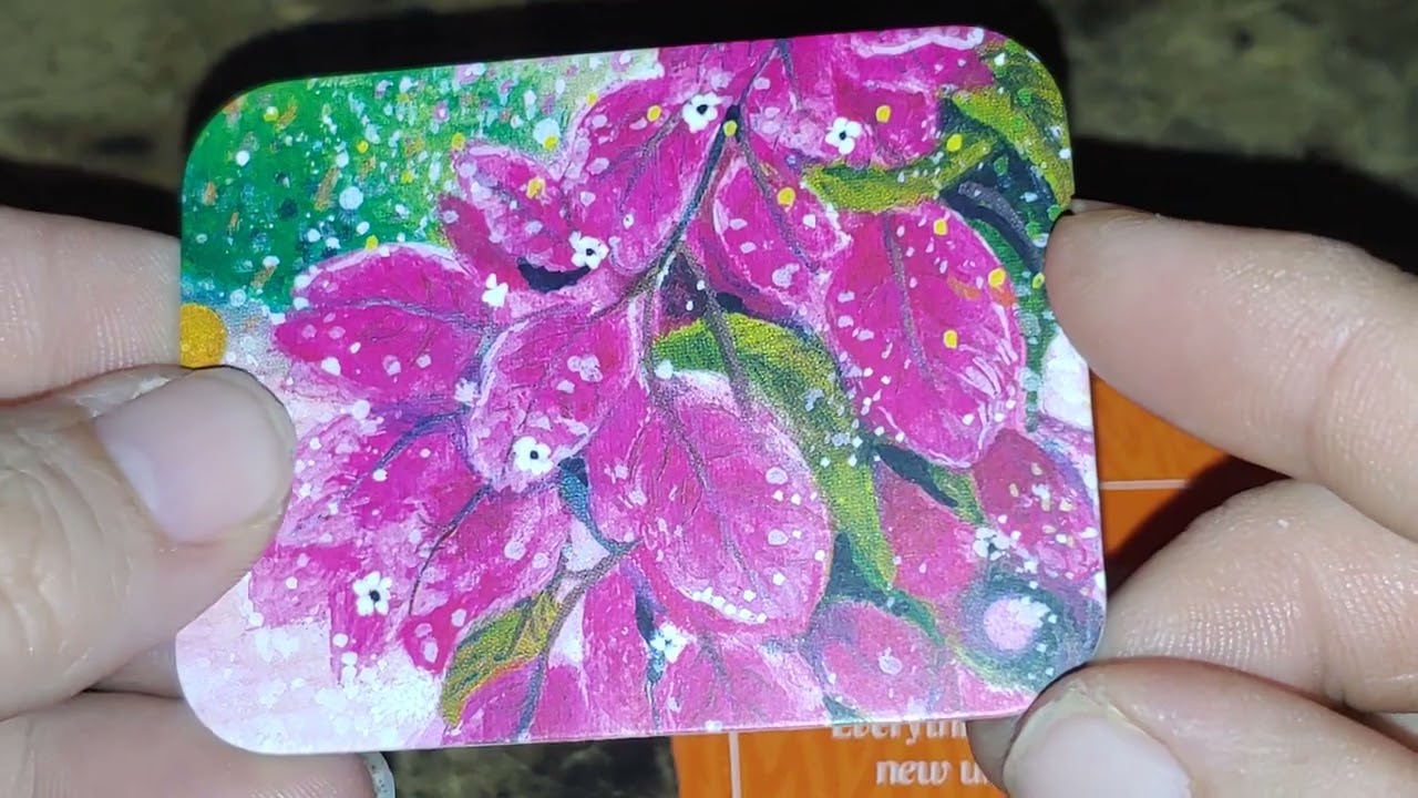 Unboxing the Wild Bohemian Affirmation Cards!