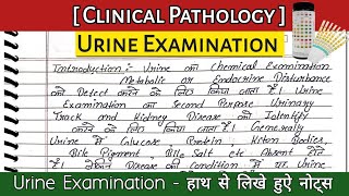 urine examination | urine test | urine examination in hindi | dmlt class in hindi urine #dmlt #bmlt