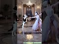 Subscribe For More Cat Dog Catdance Subscribe For More Cat Dog Catdance