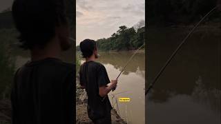 steike hiu #dksaputra #fishing #mancing