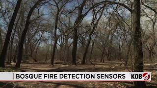 AFR using new fire detection system in the Bosque