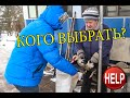 Кого разводить помимо БРОЙЛЕРОВ?//Выбираем сельхоз.животных//НЕ МОЖЕМ ОПРЕДЕЛИТСЯ//HELP