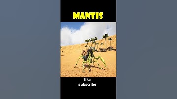 Ark Mantis🦗