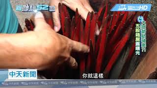 20180724中天新聞　刑警的幫手！難破案就找祂？！
