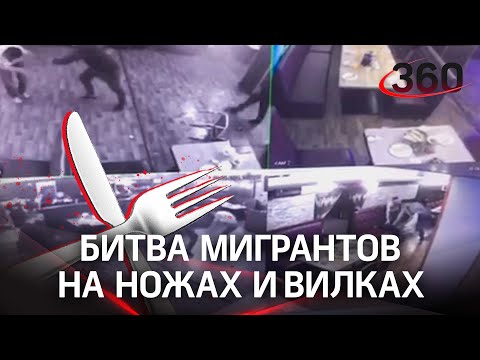 Видео: бой на ножах и вилках устроили мигранты в кафе Петербурга