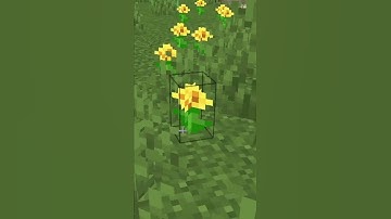 Minecraft, But If I See Red the Video Ends! #shorts