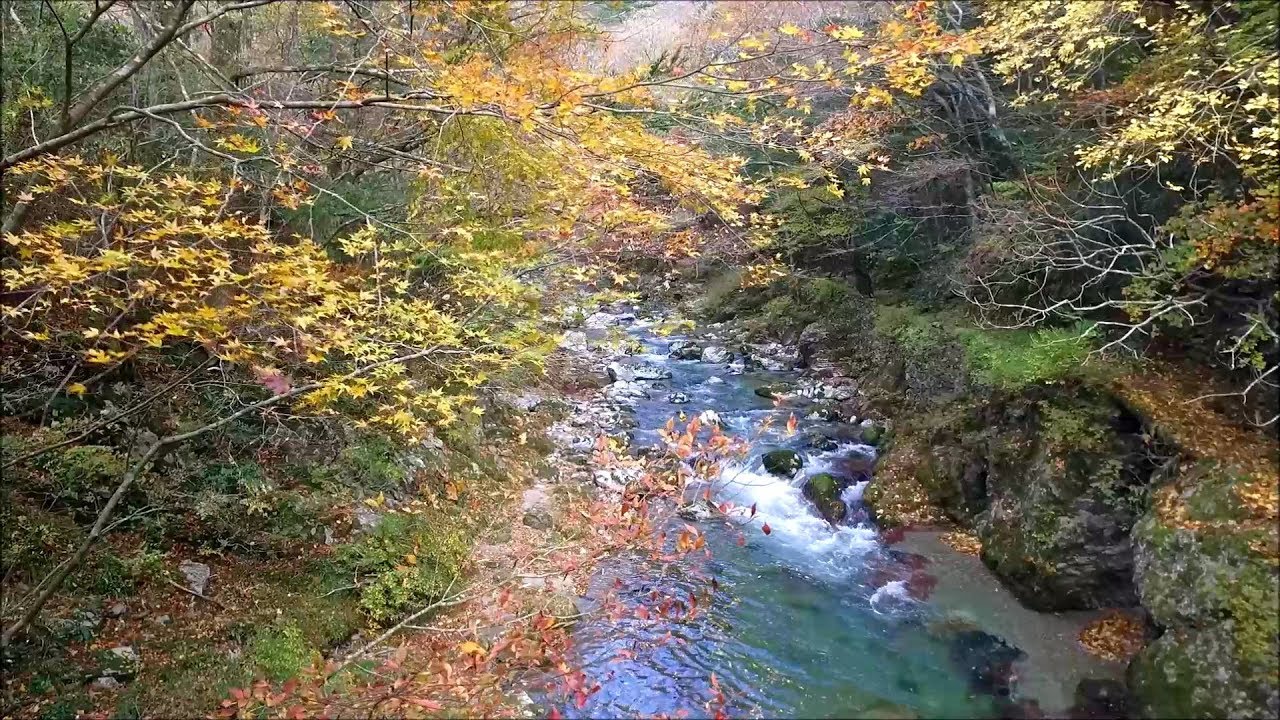17年 四国カルスト内にある小田深山渓谷の紅葉 愛媛県内子町中川 17 11 11 Youtube
