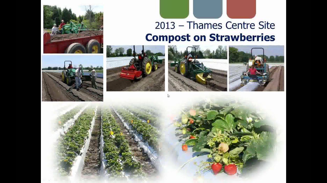 Cities Feed Farm Soils: Greenbin-Derived Compost Agricultural Trials