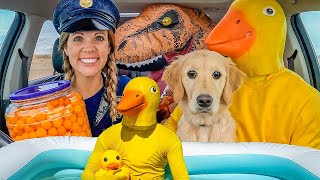 Police Steals from Puppy and Rubber Ducky in Car Ride Chase!