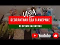 Бесплатная еда в Америке во время карантина. Food bank. #42