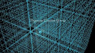 Quantum Gravity Simulation