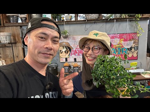 浅岡園芸のポトス革命チャンネル がライブ配信中! hqdefault