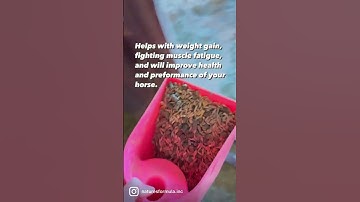 You Need This Horse Feed