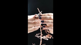 DIY Wire Bonsai Project