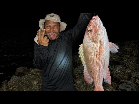 I went fishing, look at everything I caught
