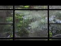 1.5 Hours of Rain &amp; Birds | Peaceful Nature Sounds for Sleep, Study &amp; Relaxation