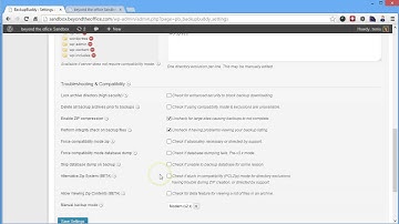 beyond the install - backup buddy settings