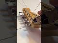 Change Strings with Ernie Ball Regular Slinky 10/46 on Fender Guitar