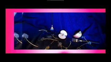 Rebound - TGSN ft. Tlinh - Visualizer by Chi Q Pham