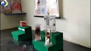 CSRGS Facilities